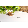 Baby Sloth 3D printed articulated fidget toy from Sensory Sidequest — front angle showing face and arms