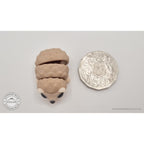 Baby Hedgehog 3D printed articulated toy next to Australian 50c coin for size reference — own photo by Sensory Sidequest