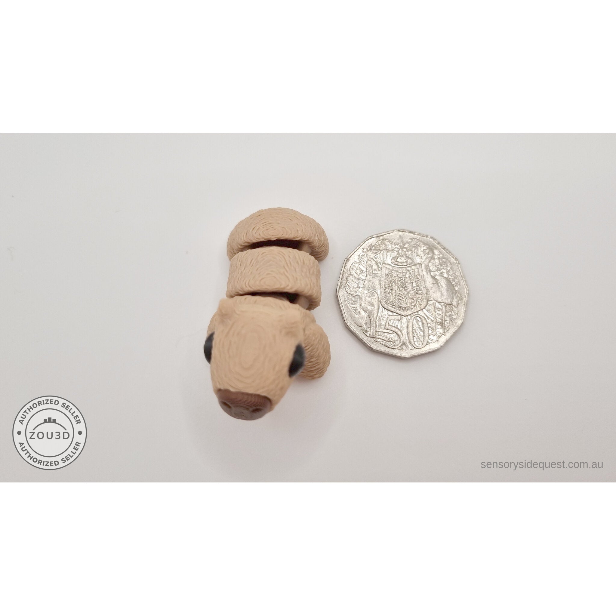 Baby Capybara smooth finish — overhead scale reference beside Australian 50 cent coin