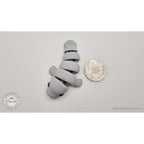 Baby Manatee 3D printed articulated fidget toy with 50 cent coin for scale by Sensory Sidequest