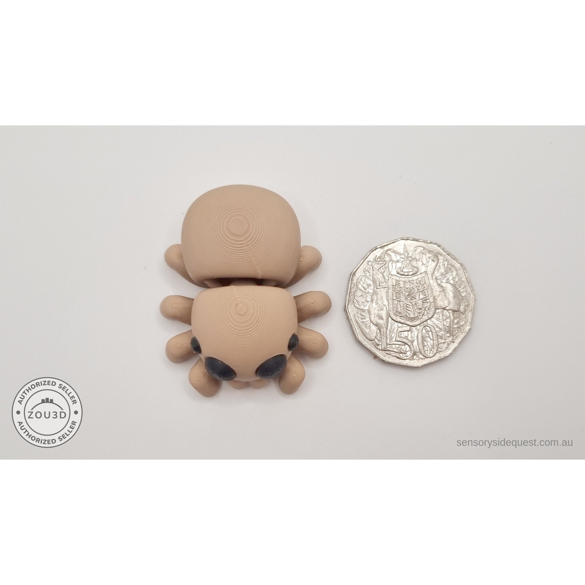 Baby Spider beside Australian 50 cent coin — overhead scale reference showing compact size